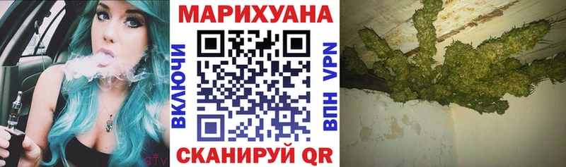 Бошки марихуана конопля  Болотное 
